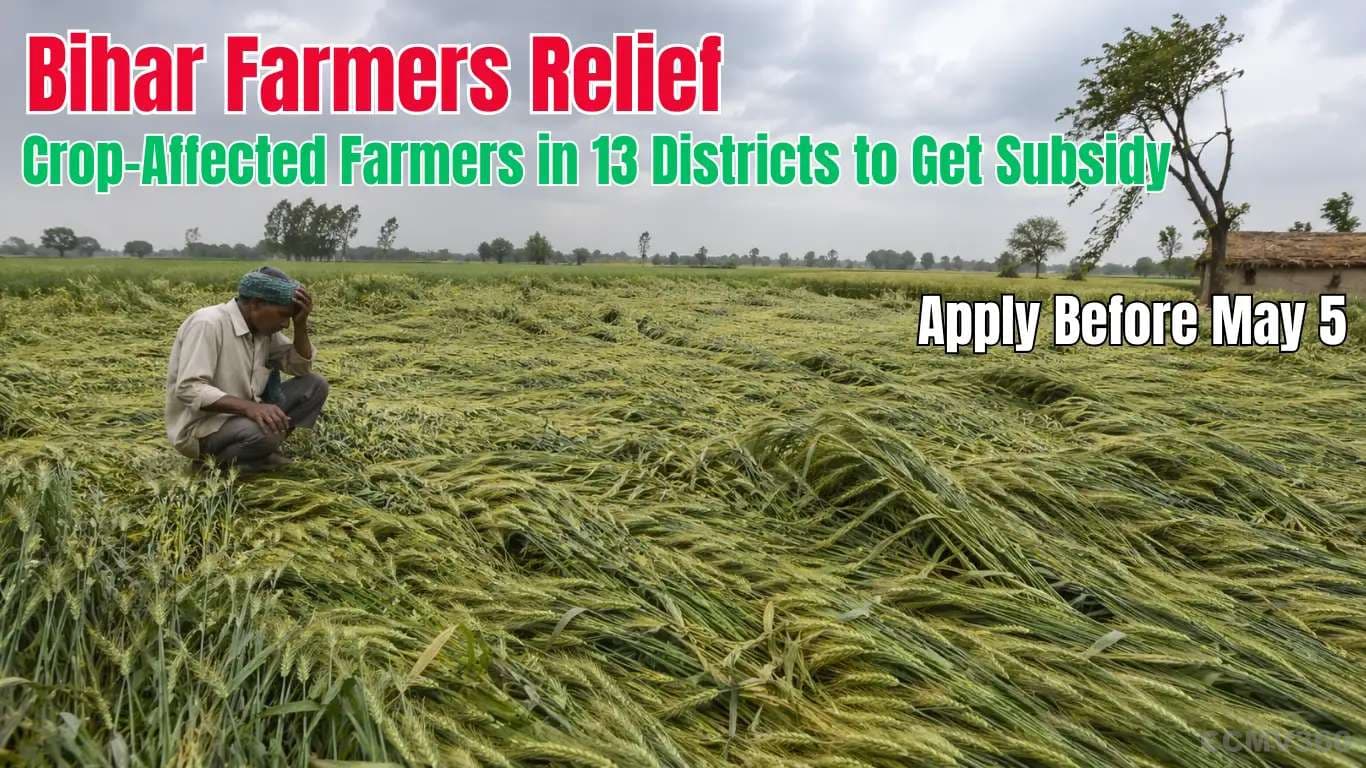 Bihar Farmers Relief: Crop-Affected Farmers in 13 Districts to Get Subsidy, Apply Before May 5 Bihar Farmers Get Crop Loss Relief, Apply Before May 5