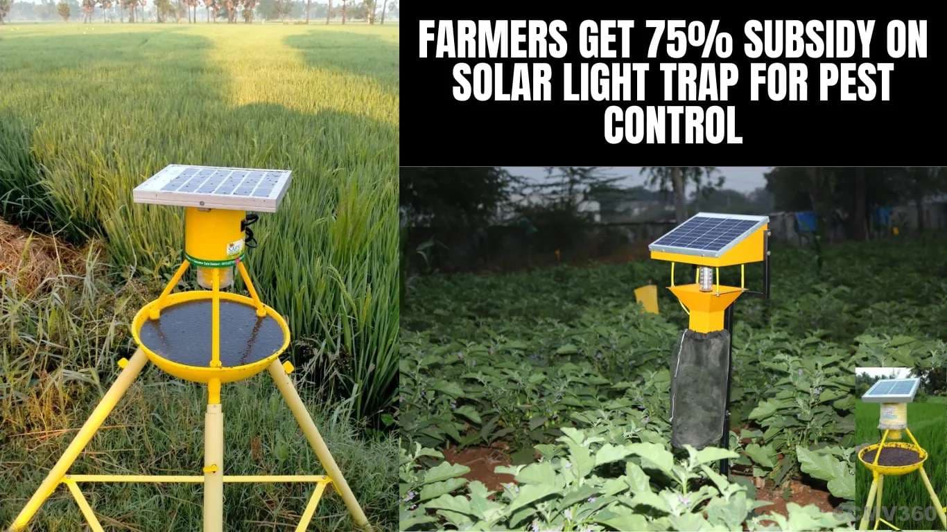 பூச்சி கட்டுப்பாட்டுக்கான சூரிய ஒளி பொறிக்கு விவசாயிகள் 75% மானியம் Farmers Get 75% Subsidy on Solar Light Trap for Pest Control.webp