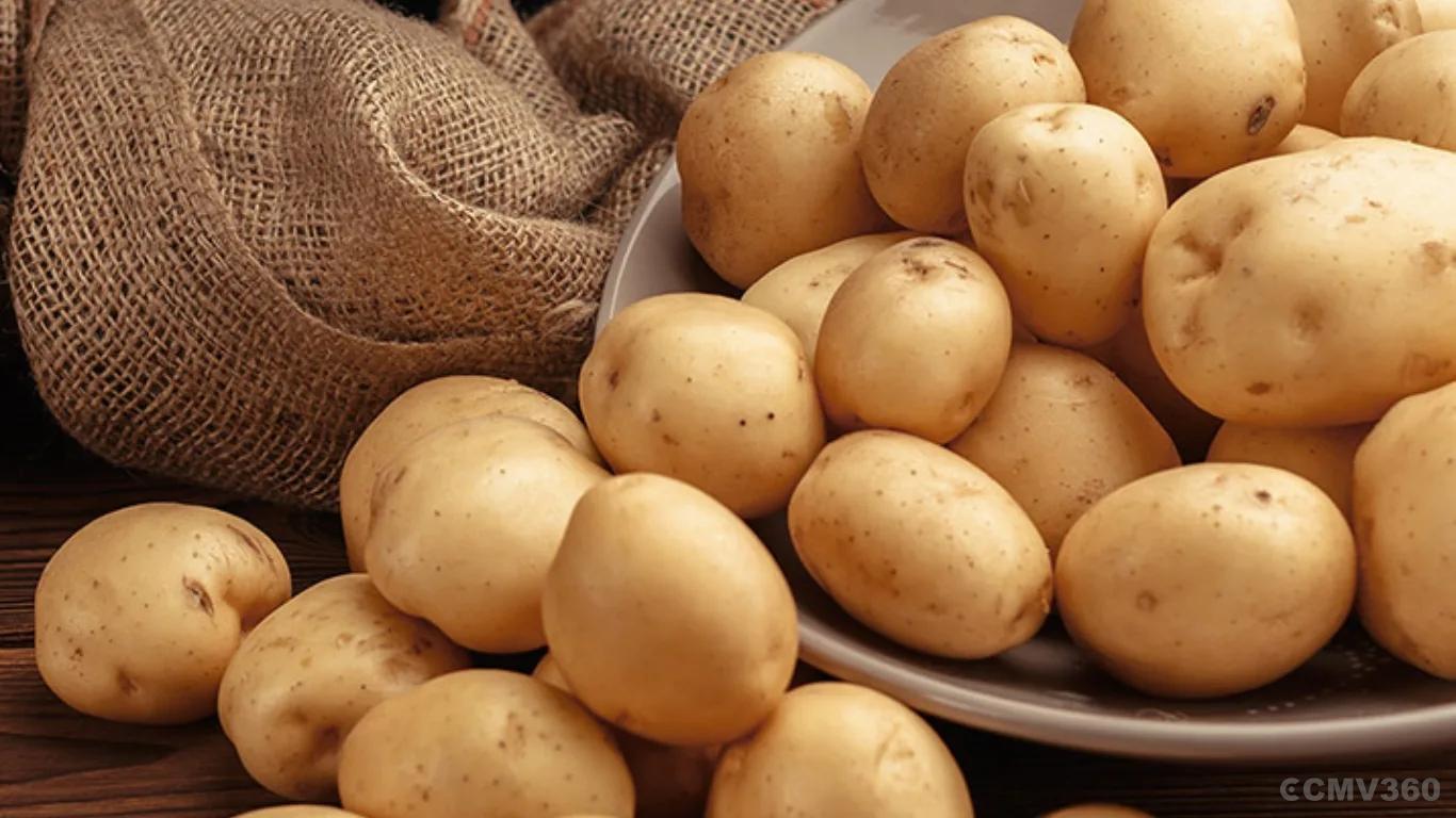 Potato Potato