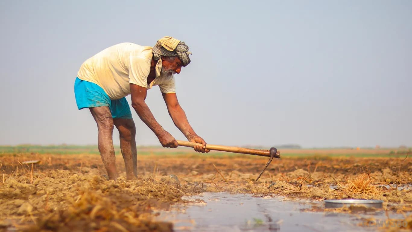 Benefits to farmers
